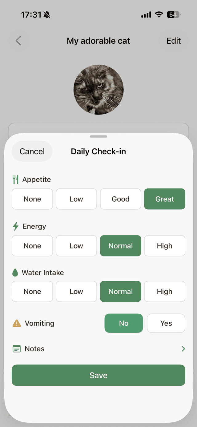 Daily wellness check-in screen